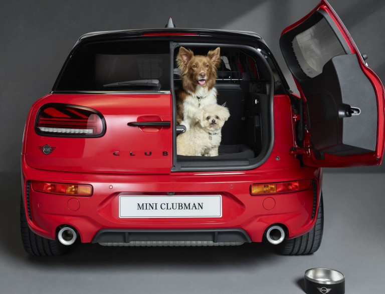 dogs mini car