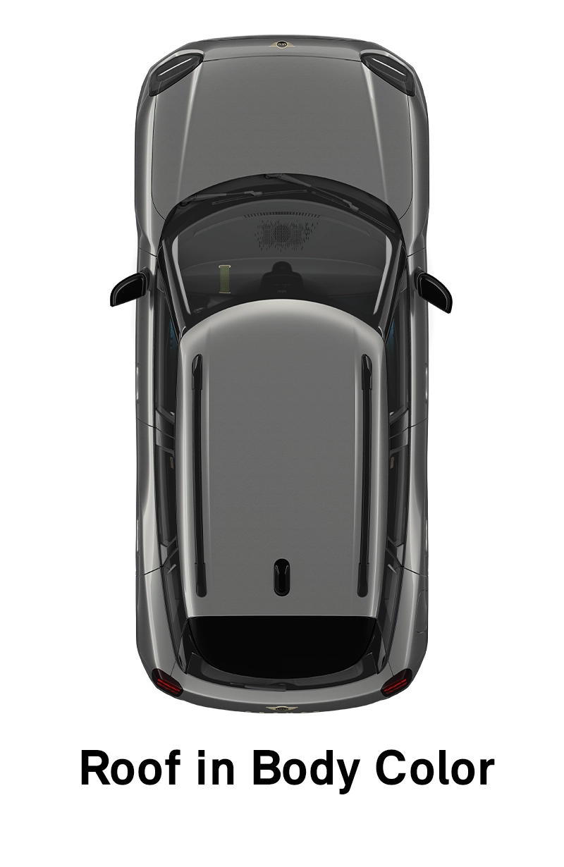 MINI - equipment - essential style - roof in body color