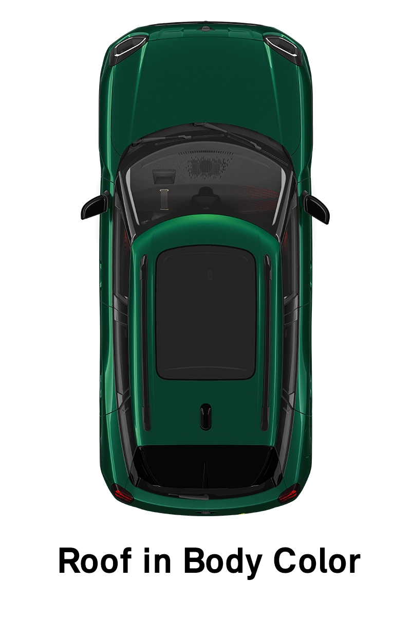  MINI - equipment - sport style roof in body colour