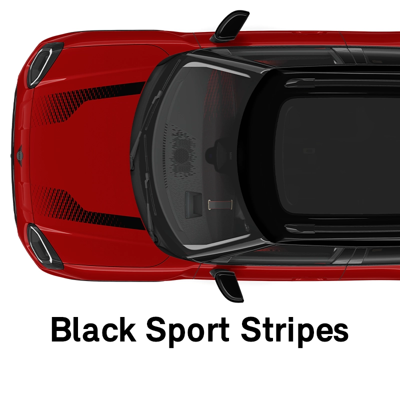  MINI - equipment - sport style black sport stripes