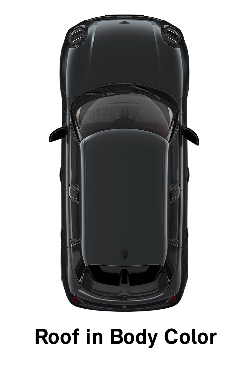  MINI - equipment - sport style roof body color