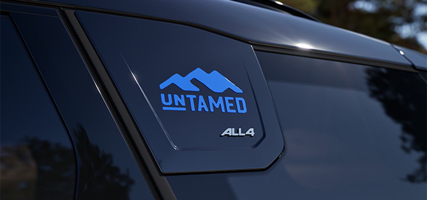 Image of the MINI Countryman Untamed Edition C-pillar.