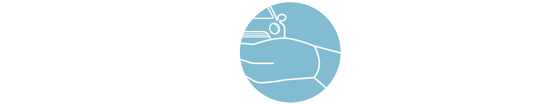 MINI Overview – Shopping Tools