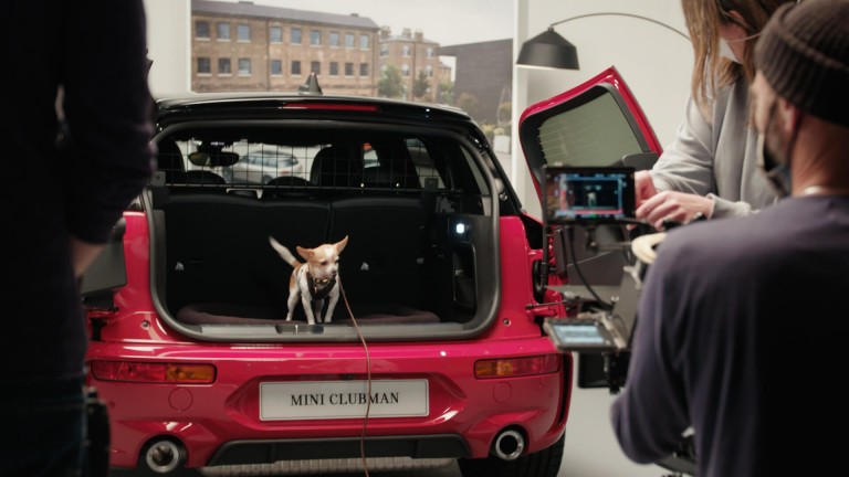 MINI Clubman with miniature dog