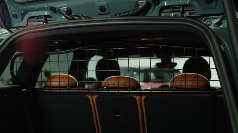 Dog cage for mini cooper clearance