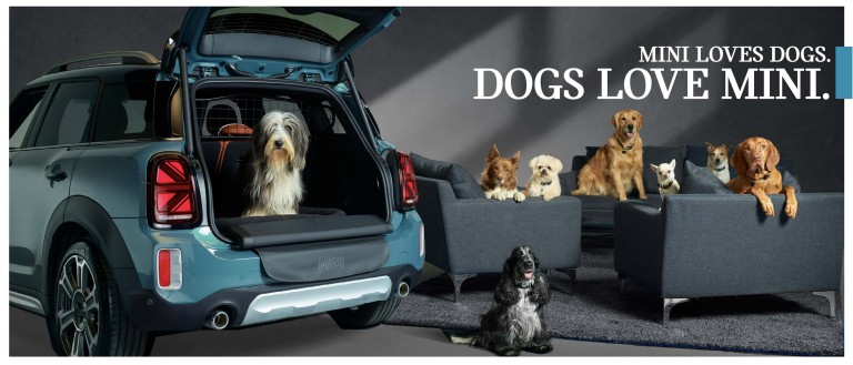 the smooth ride helps dogs feel chilled