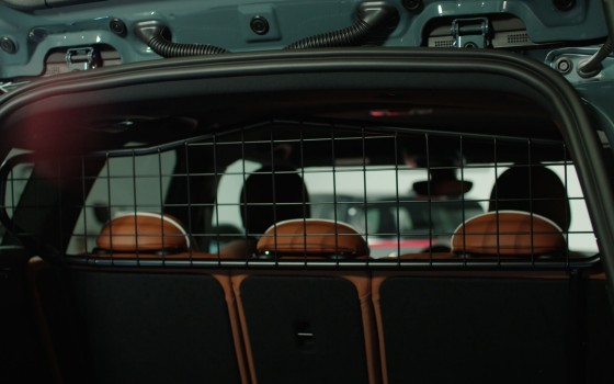 Mini countryman dog guard shop