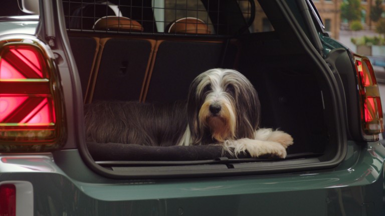 dog luggage car