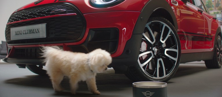 Car Accessories for Dogs MINI Dogs Hub MINI UK