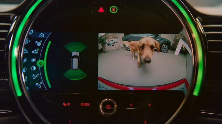Mini countryman dog accessories online