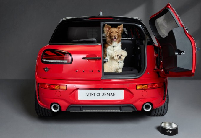Dog guard to fit mini cooper online
