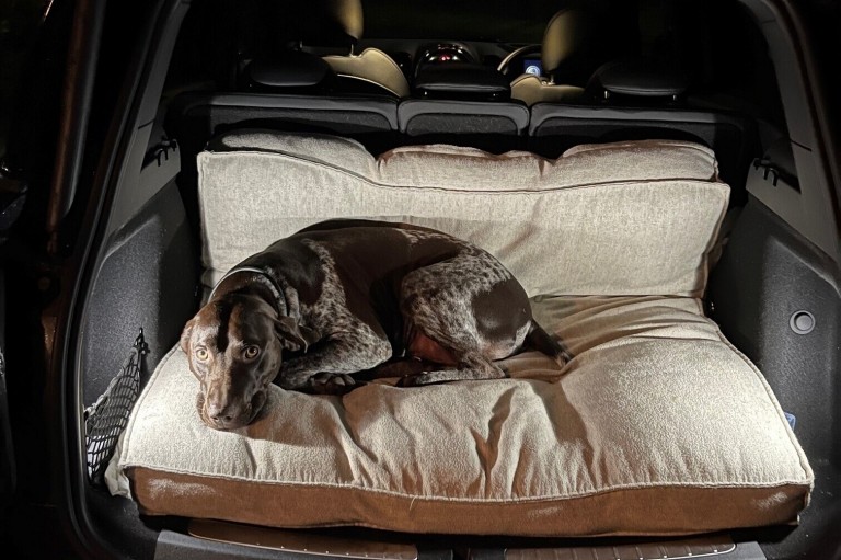 Mini cooper dog bed hotsell