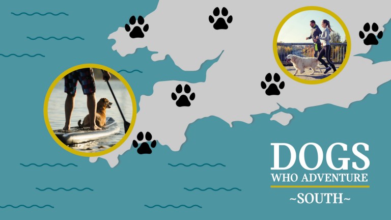 Dogs who Adventure map South