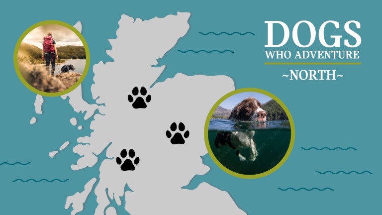 Dogs who Adventure map North