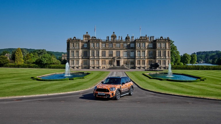 MINI Longleat lion