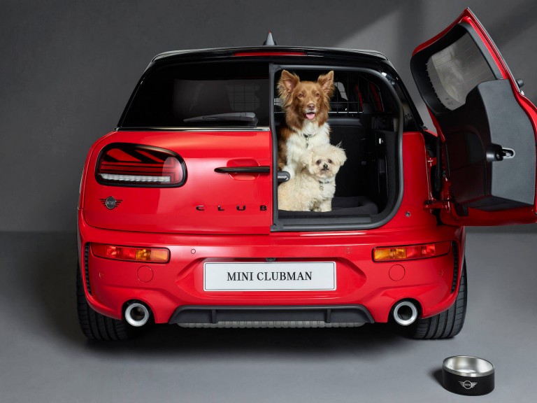 MINI Clubman with dogs in the back
