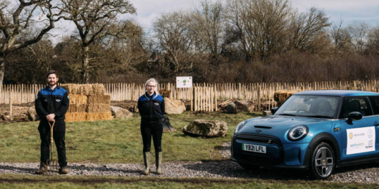 MINI volunteers planting sustainable Tiny Forests