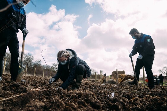 MINI and Earthwatch Europe planting Tiny Forests in Swindon and Oxford